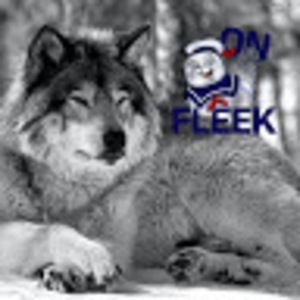 Meet your Posher, Moises